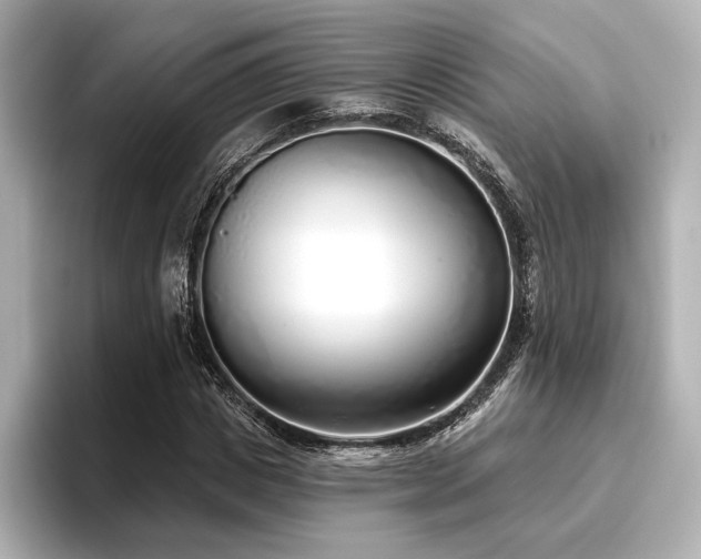 X0000096720825200802051441