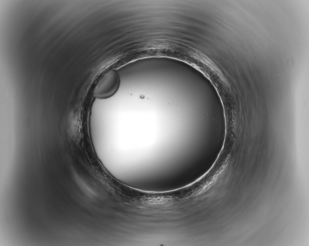 X0000096720826200802051441