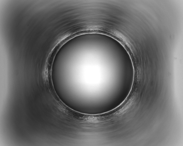 X0000096720827200802051441