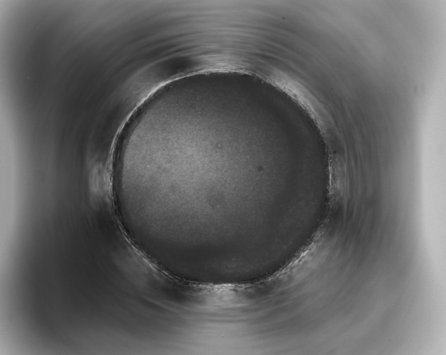 X0000096720828200802051441