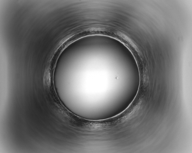 X0000096720829200802051441