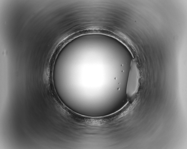 X0000096720831200802051441