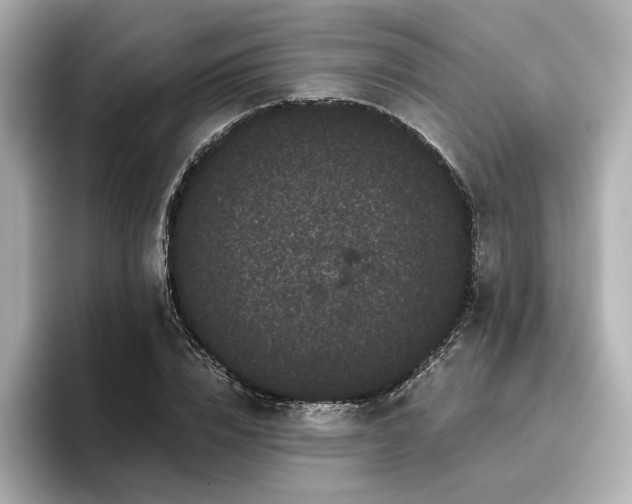 X0000096720832200802051441