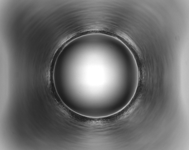 X0000096720834200802051441
