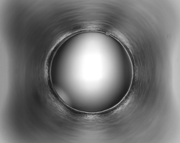 X0000096720835200802051441