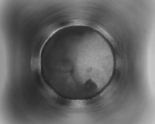 X0000096720836200802051441