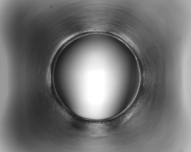 X0000096720838200802051441