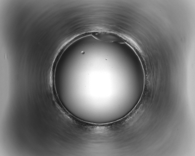 X0000096720839200802051441