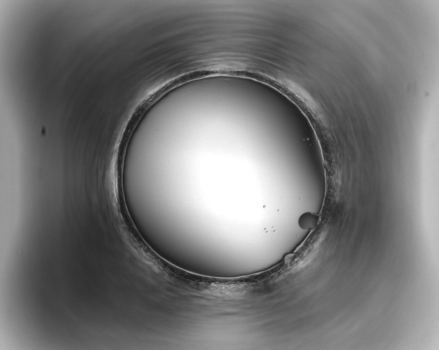 X0000096720840200802051441