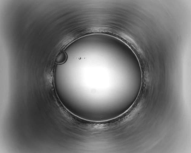 X0000096720841200802051441