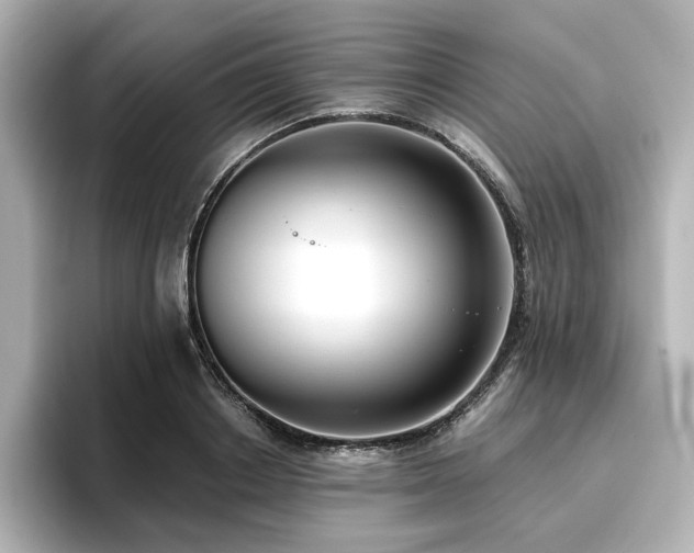 X0000096720842200802051441