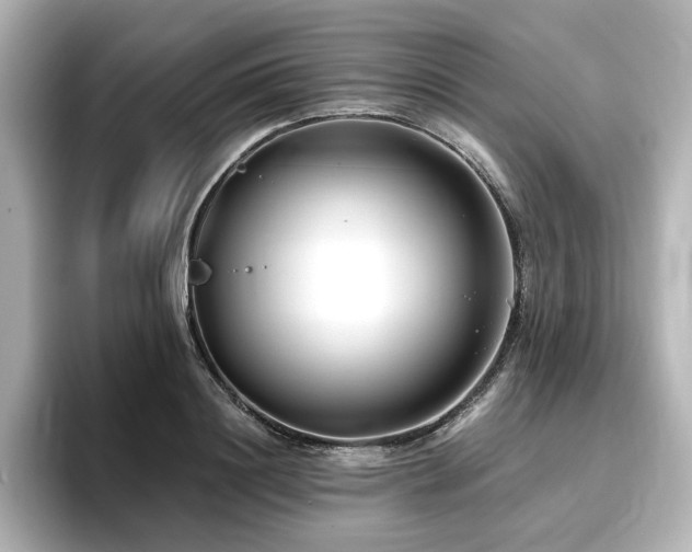 X0000096720844200802051441