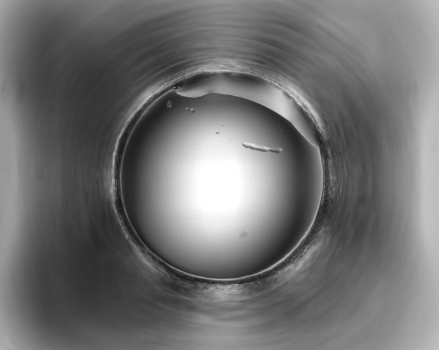 X0000096720845200802051441