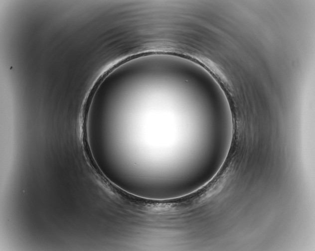 X0000096720846200802051441