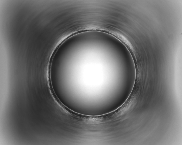 X0000096720847200802051441