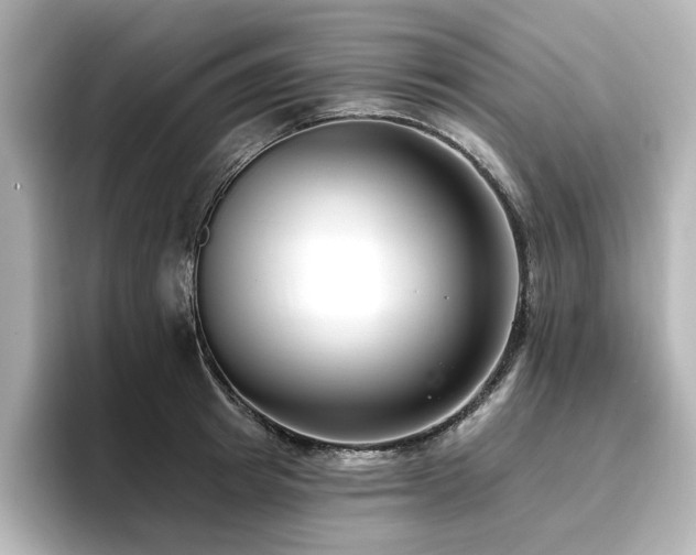 X0000096720849200802051441