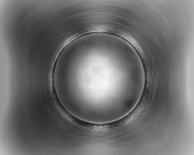 X0000096720850200802051441