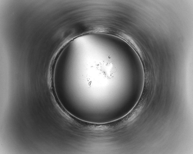 X0000096720851200802051441