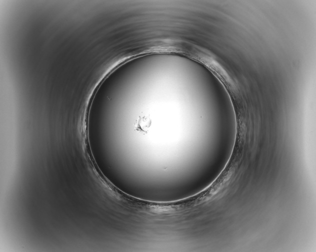 X0000096720852200802051441