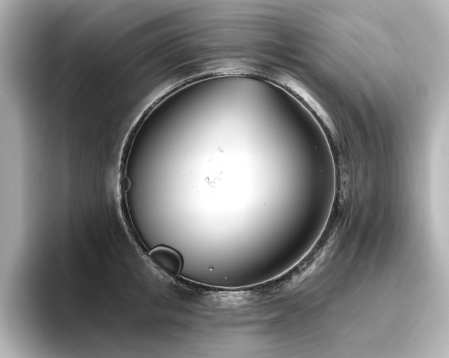 X0000096720853200802051441