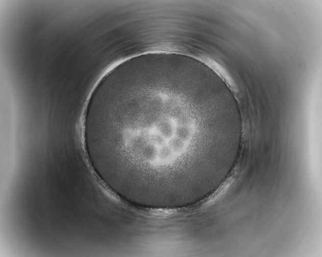 X0000096720854200802051441