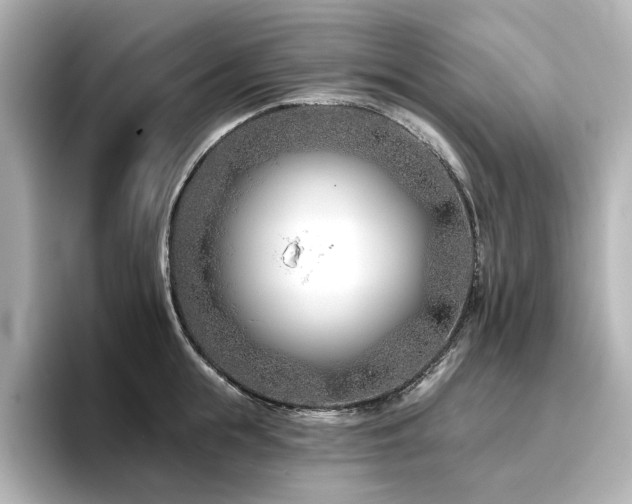 X0000096720855200802051441