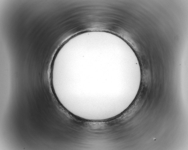 X0000096720856200802051441