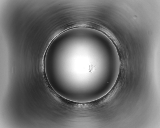X0000096720858200802051441