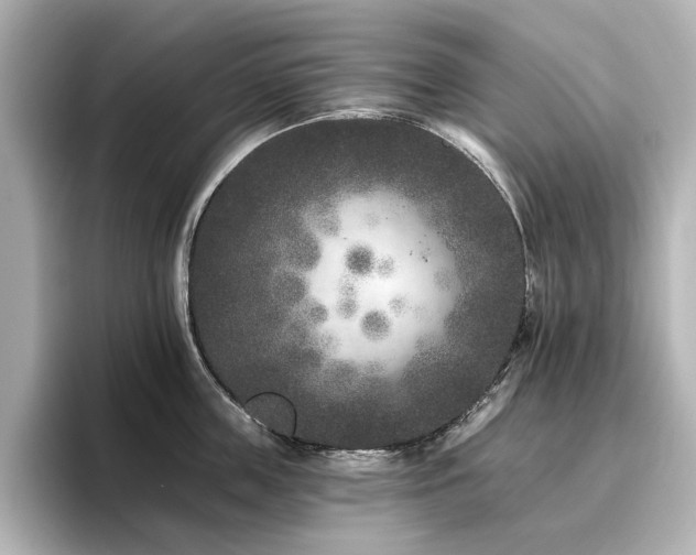 X0000096720859200802051441