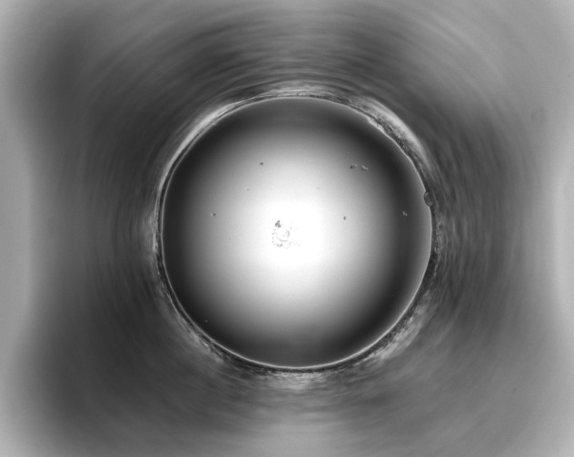 X0000096720860200802051441