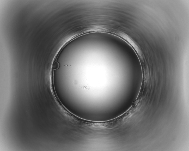 X0000096720861200802051441
