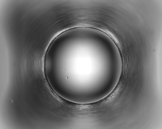 X0000096720862200802051441