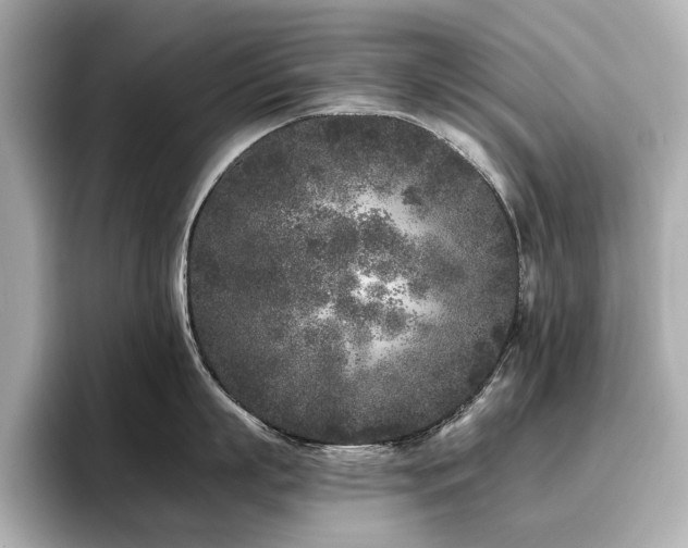 X0000096720863200802051441