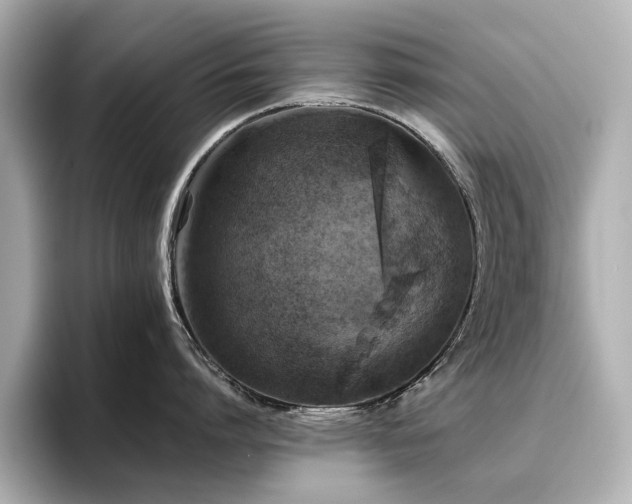X0000096720864200802051441