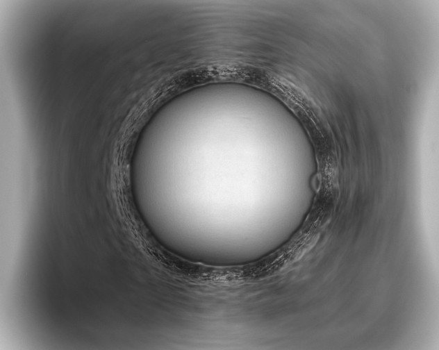 X0000096720865200802051441
