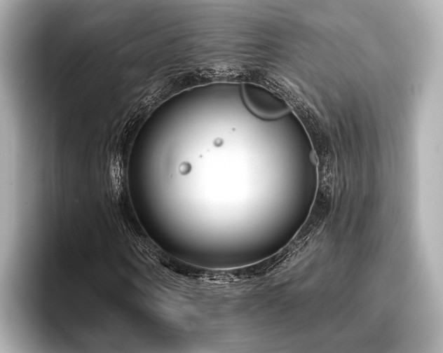 X0000096720866200802051441
