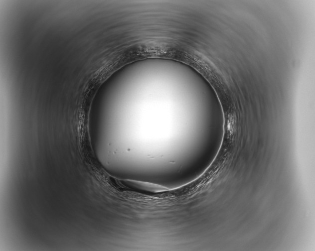 X0000096720867200802051441