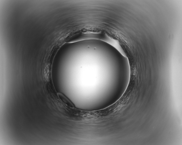 X0000096720868200802051441