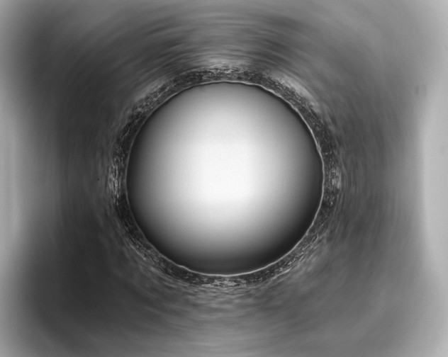 X0000096720869200802051441
