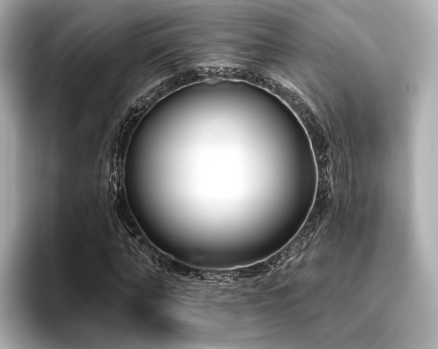 X0000096720870200802051441