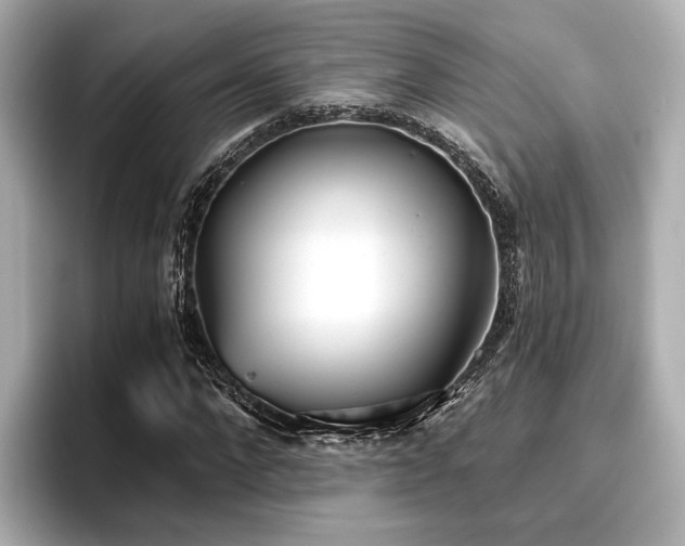 X0000096720872200802051441
