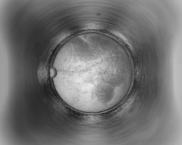 X0000096720874200802051441