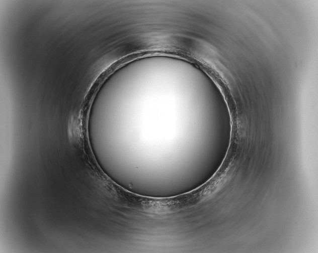 X0000096720875200802051441