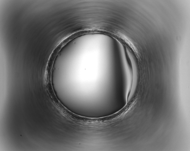 X0000096720876200802051440