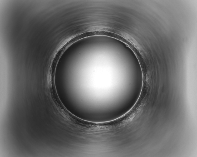 X0000096720877200802051440