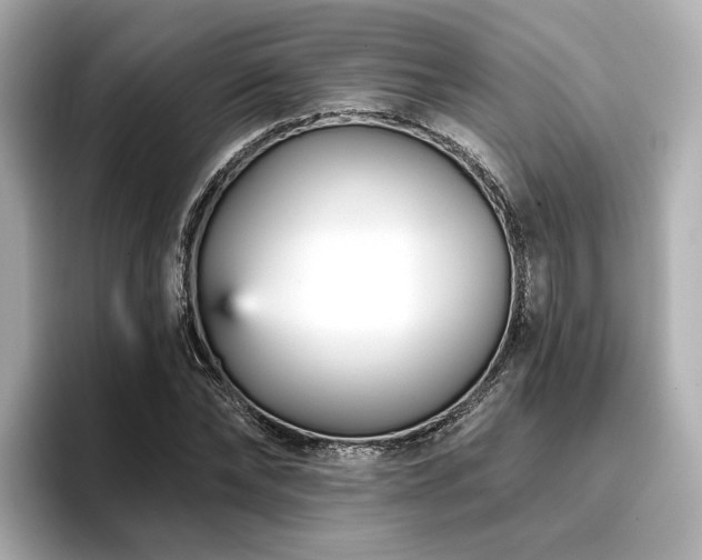 X0000096720878200802051440