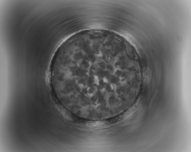 X0000096720879200802051440