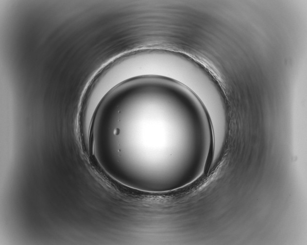 X0000096720880200802051440