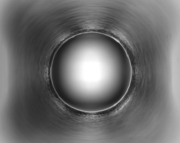 X0000096720881200802051440
