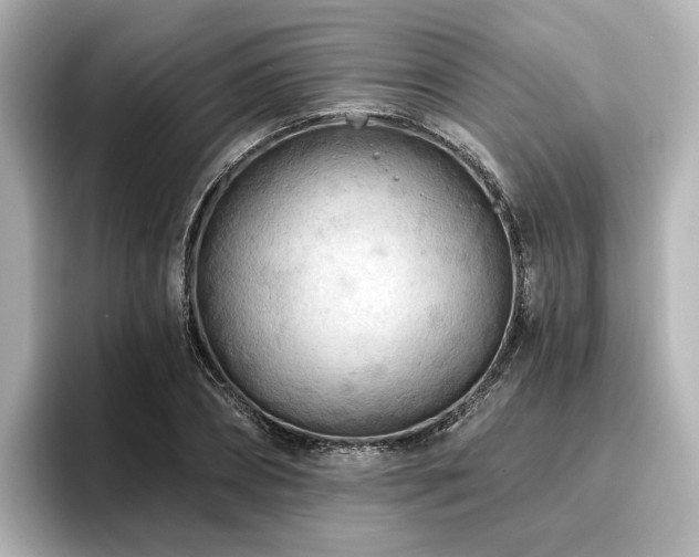 X0000096720882200802051440